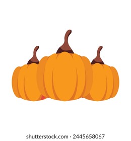 Ilustración vectorial de calabazas sobre fondo blanco.