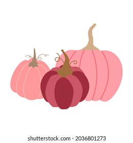 Vector illustration with pumpkins in pink pastel colors. Isolated on white background. Baby shower, wedding invitation, birthday card, sublimation design.