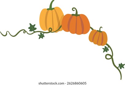 vector illustration of pumpkins and vines
