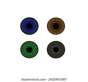 Vector illustration of a pupil or eye lens in beautiful color