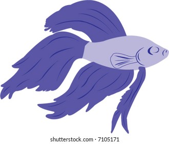 Vector Illustration Of A Purple Beta Fish