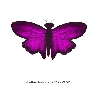 Vector illustration of purple butterfly. Isolated. As atemplate of print, element of logo. Flat design