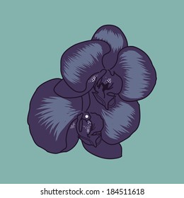 vector illustration of purple flower 