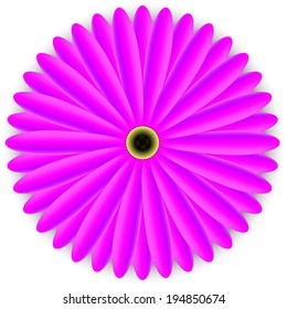 Vector illustration of purple flower 