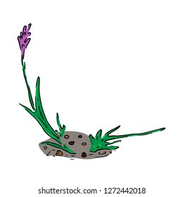 Vector illustration of a purple flower with green leaves. Hand drawing flower growing on the ground.