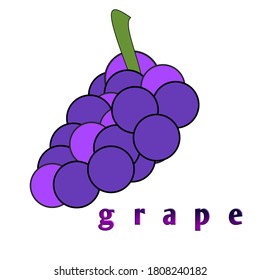 vector illustration of purple grapes and "grape" inscription. can be used as icons and logos.