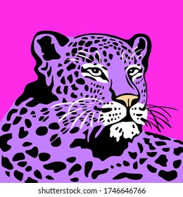 Ilustración del vector Leopardo púrpura en fondo rosa