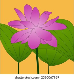 vector illustration of purple lotus flower over yellow background