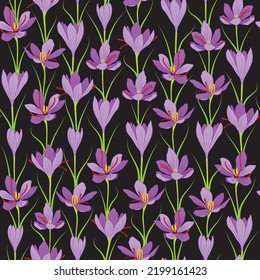 vector illustration. purple saffron flower on black background seamless repeat pattern.