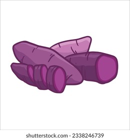 vector illustration of purple sweet potato or taro as a fresh plantation produce on white background, can be used as banner, poster or template