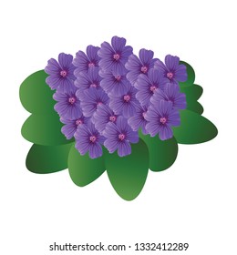 Ilustración vectorial de flores violetas púrpura con hojas verdes sobre fondo blanco.