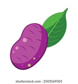Vector illustration of a purple yam isolated on white,  sweet yam on white background