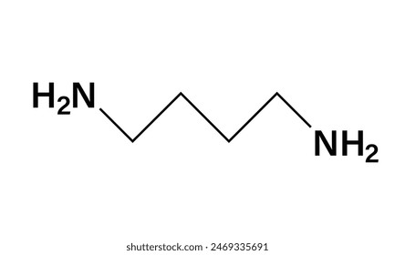 Vector Illustration of Putrescine Molecular Structure, Chemical Compound Diagram, Science Illustration, White Background.