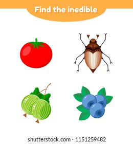 vector illustration. puzzle game for preschool and school age children. find the inedible. tomato, gooseberry, blueberry, beetle
