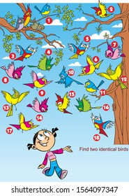 Vector illustration with a puzzle on which you need to find two same birds.