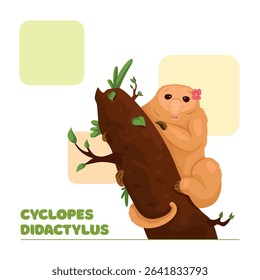 Vector illustration with pygmy anteater on a tree. Animal poster. Cartoon style.