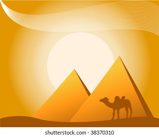 vector illustration of pyramids, camel on sunny background