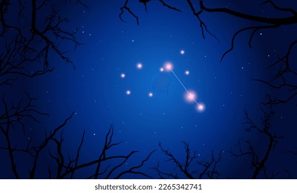 Vector illustration Pyxis constellation. Tree branches, dark blue starry sky, cosmos. Illustration of constellation scheme Pyxis    