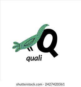 Vector illustration with quail bird and English capital letter Q. childish alphabet for language learning