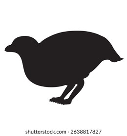vector illustration of quail chicken in silhouette appearances