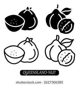 Ilustración vectorial de nuez de Queensland en varias formas mostradas con Elementos de hoja y nuez abierta