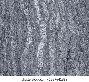 Vector illustration of Quercus cerris, Turkish oak or Austrian oak bark background. Texture. Abstract view.