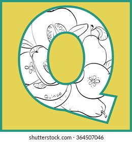 Vector illustration of quince inside of letter Q. Limited colors graphic. Hand drawing.