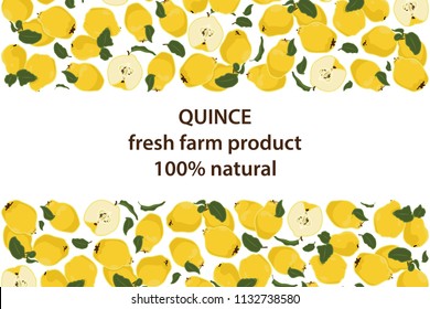 vector illustration of quince and leaf design background white and fruit and text fresh farm product 100% natural EPS10