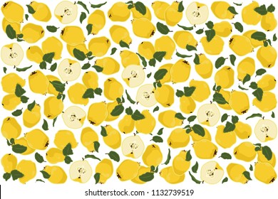 vector illustration of quince and leaf design background white and fruit EPS10