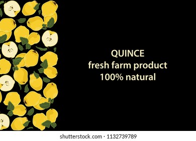 vector illustration of quince and leaf design background black and fruit and text fresh farm product 100% natural EPS10