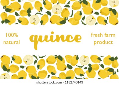 vector illustration of quince and leaf design with lettering quince background white and fruit and text fresh farm product 100% natural EPS10