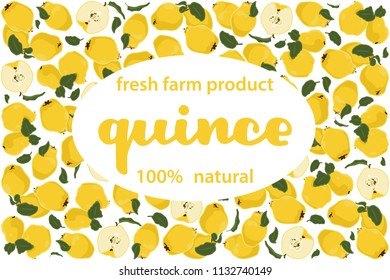 vector illustration of quince and leaf design with lettering quince background white and fruit and text fresh farm product 100% natural EPS10