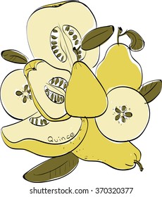 Vector illustration of quince. Limited colors graphic: black, yellow, green, light yellow. Hand drawing, good for textile printing.