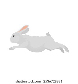 Vector illustration of rabbit in cartoon flat style. A cute little fluffy rabbit in different pose and color. Illustration of livestock or wild animal isolated on white background for icon, infograph