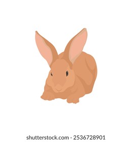 Vector illustration of rabbit in cartoon flat style. A cute little fluffy rabbit in different pose and color. Illustration of livestock or wild animal isolated on white background for icon, infograph