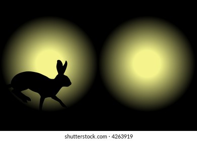 Vector illustration of a rabbit caught in car headlights at night