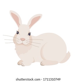 Vector illustration of a rabbit, close - upview isolated on a white background. Bunny graphics for Easter stickers and postcards.