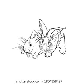 Vector illustration of rabbits. Isolated hares for printing on postcards, preparation for designers, coloring, pet shops, farms