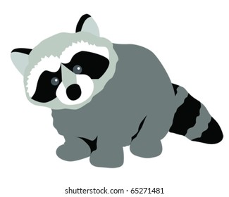 vector illustration of a raccoon