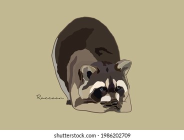 Vector Illustration of Raccoon, Common Raccoon
