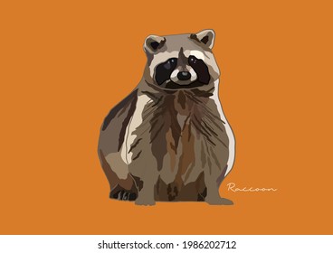 Vector Illustration of Raccoon, Common Raccoon