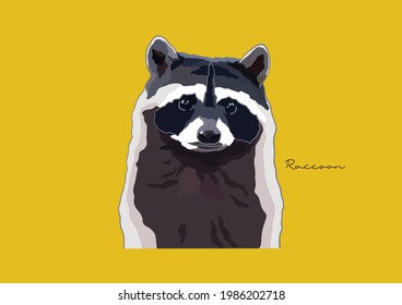 Vector Illustration of Raccoon, Common Raccoon