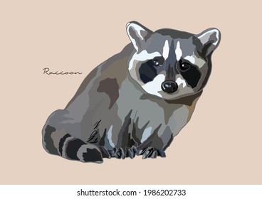 Vector Illustration of Raccoon, Common Raccoon