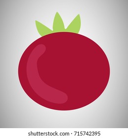 Vector illustration with radish.