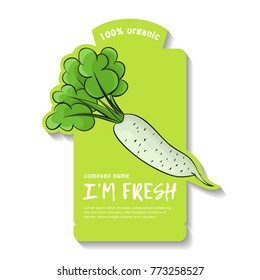 Vector illustration of a radish. Flat, color. Vivid picture of a vegetable. Fresh food
