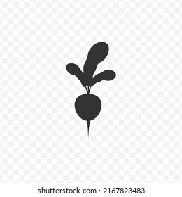 Vector illustration of Radish icon in dark color and transparent background(PNG).