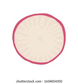 Vector illustration of radish slice isolated on white background