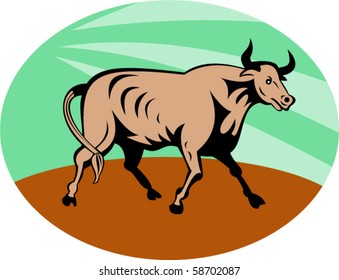 vector illustration of a Raging texas longhorn bull charging
