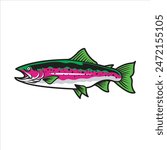 Vector Illustration of Rainbow Trout Fish with Simple Illustration