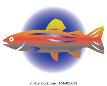 vector illustration of a rainbow trout fish